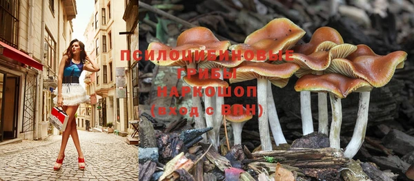 индика Балахна