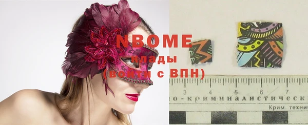 индика Балахна