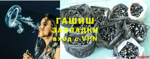 индика Балахна