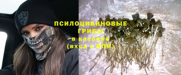 индика Балахна