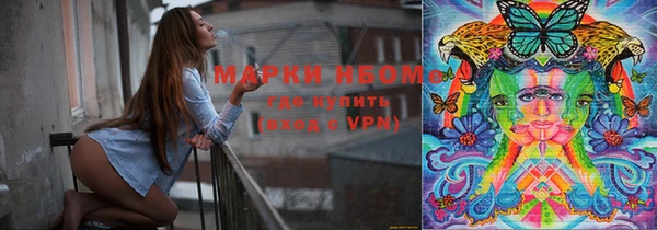 индика Балахна
