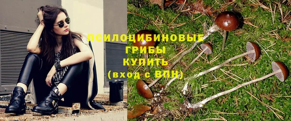 дурь Баксан