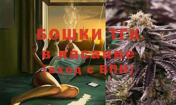 индика Балахна
